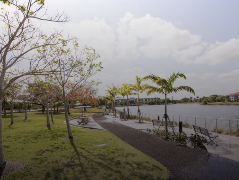 A scenic park view, with water and native Florida vegetation.