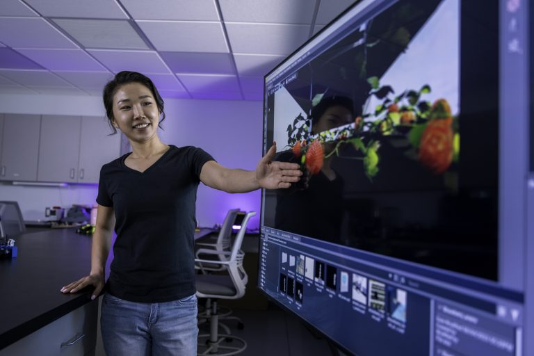 Dana Choi, an assisant professor of agricultural and biological engineering at the UF/IFAS Gulf Coast Research and Education Center, is seen in her lab. Courtesy, Dana Choi.