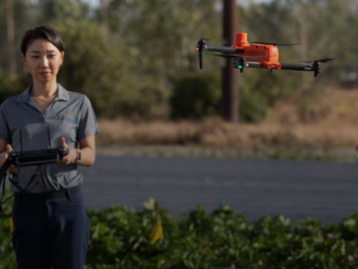 A woman flying a drone in a field.